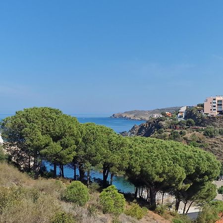 Appartement Avec Terrasse, Wifi, Parking Prive, A 2Min De La Plage Des Elmes - Banyuls-Sur-Mer - Fr-1-309-130 Exterior photo