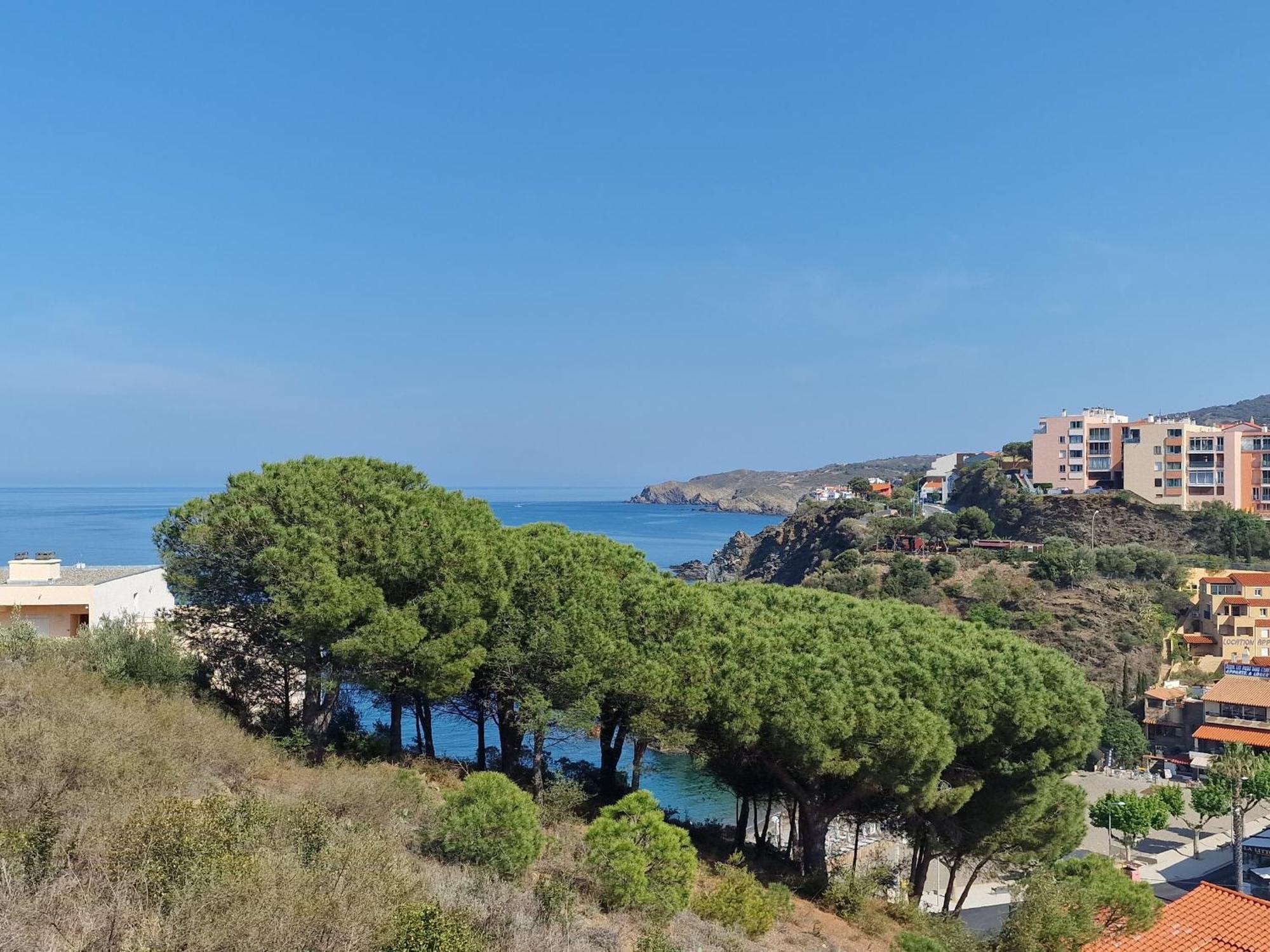 Appartement Avec Terrasse, Wifi, Parking Prive, A 2Min De La Plage Des Elmes - Banyuls-Sur-Mer - Fr-1-309-130 Exterior photo